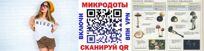 Псилоцибиновые грибы Cubensis  Брюховецкая 