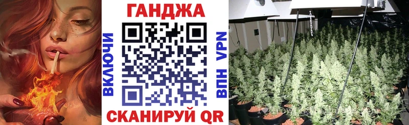 Конопля конопля Брюховецкая